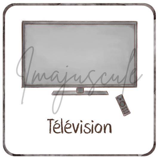 Télévision